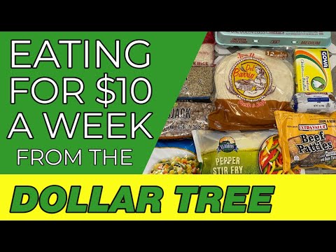 How To Survive Spending Only $10 A Week On Food